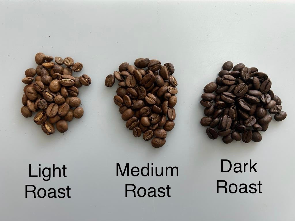 Roasted Coffee 12oz bag