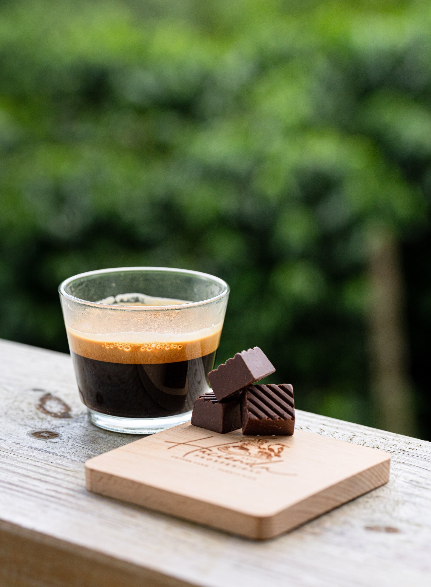 Coffee Tour and Workshop - From Seed to Cup - The Experience
