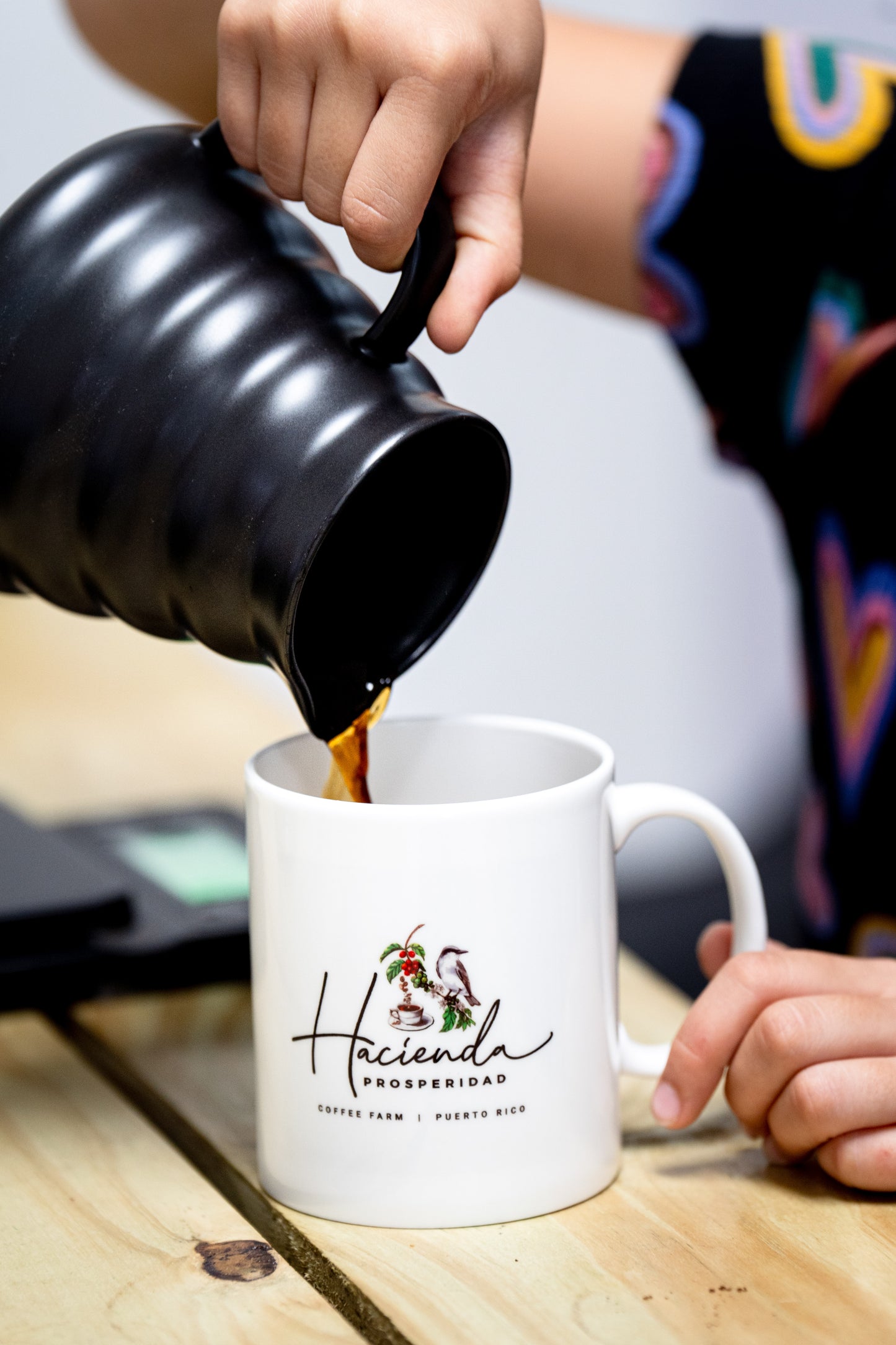 Coffee Tour and Workshop - From Seed to Cup - The Experience