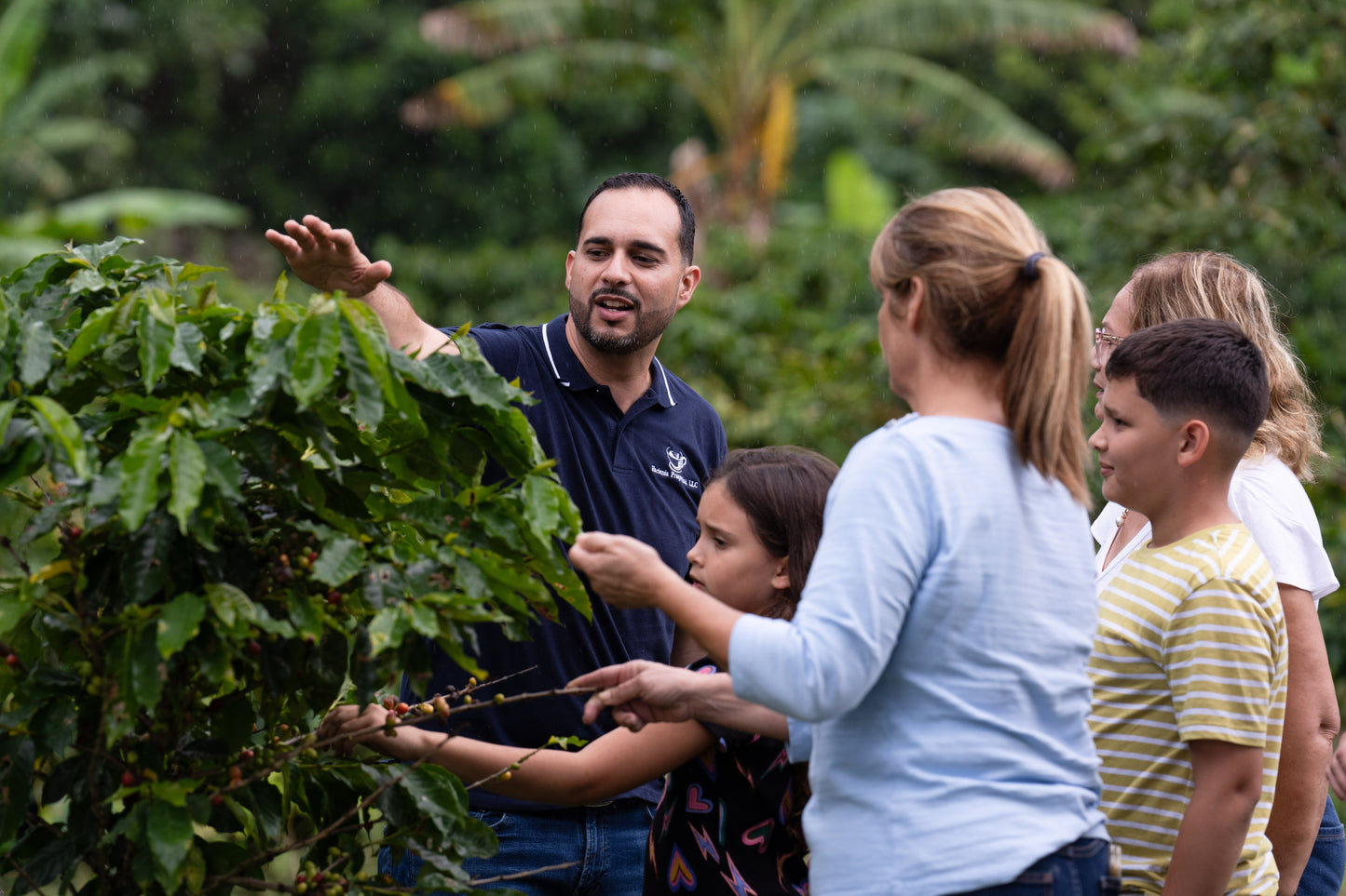 Coffee Tour and Workshop - From Seed to Cup - The Experience