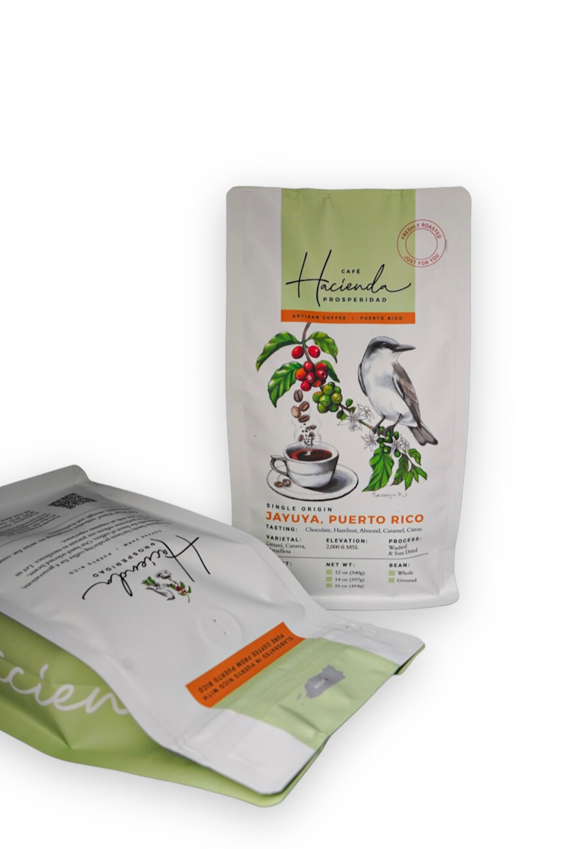 Roasted Coffee 12oz bag
