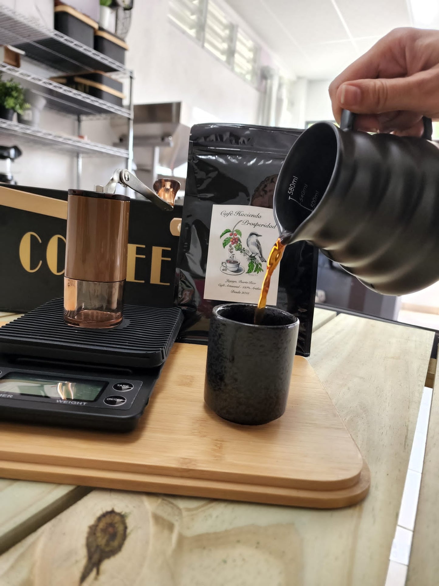 Coffee Tour and Workshop - From Seed to Cup - The Experience