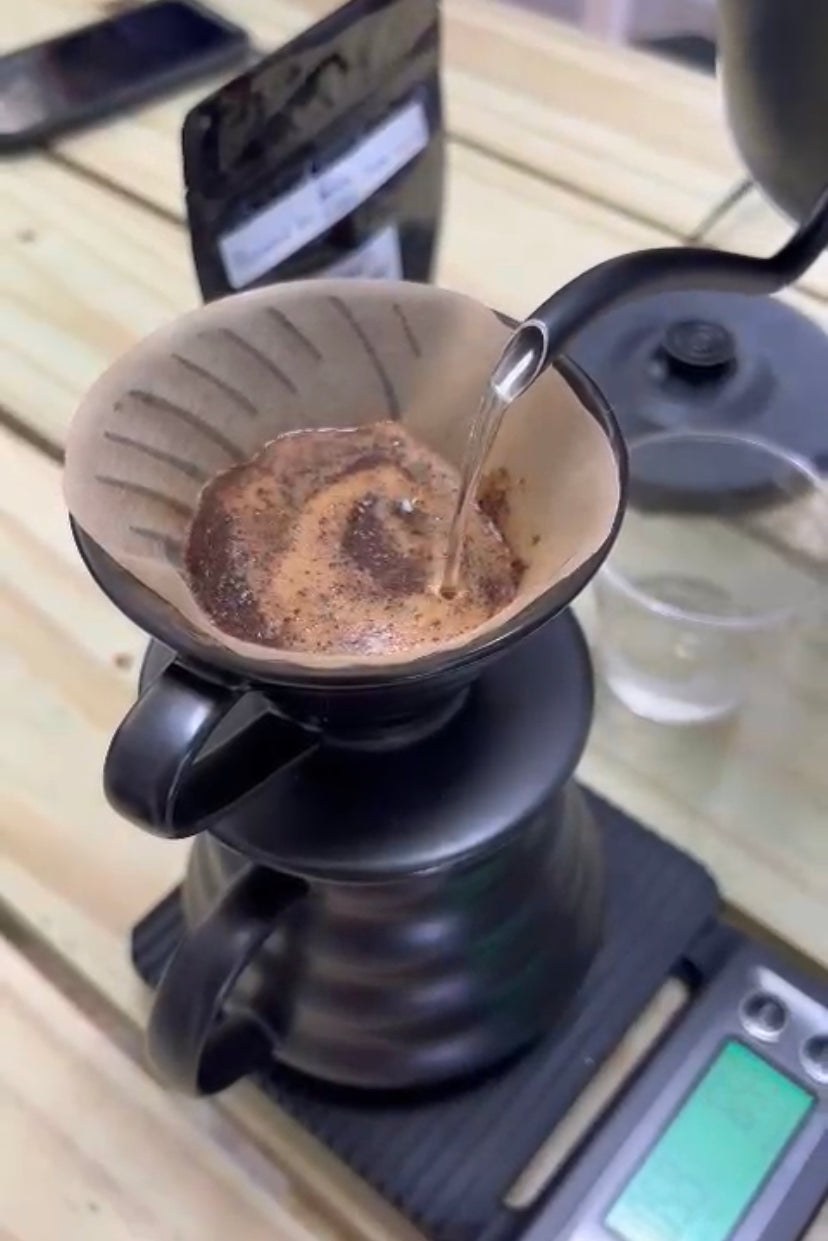 Coffee Tour and Workshop - From Seed to Cup - The Experience