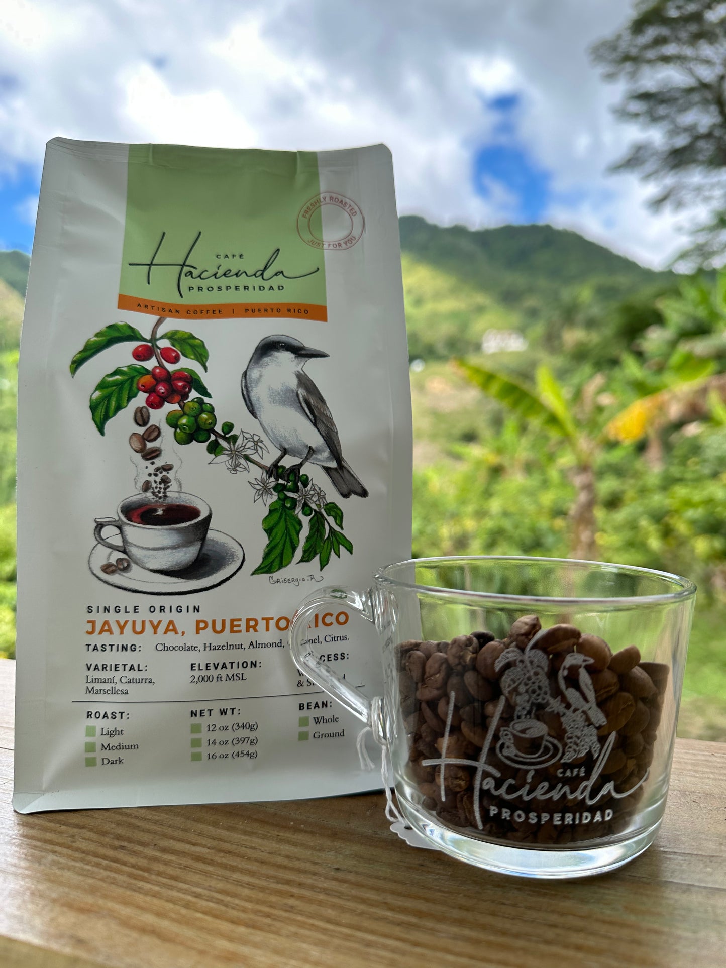 Roasted Coffee and 13oz Mug Bundle