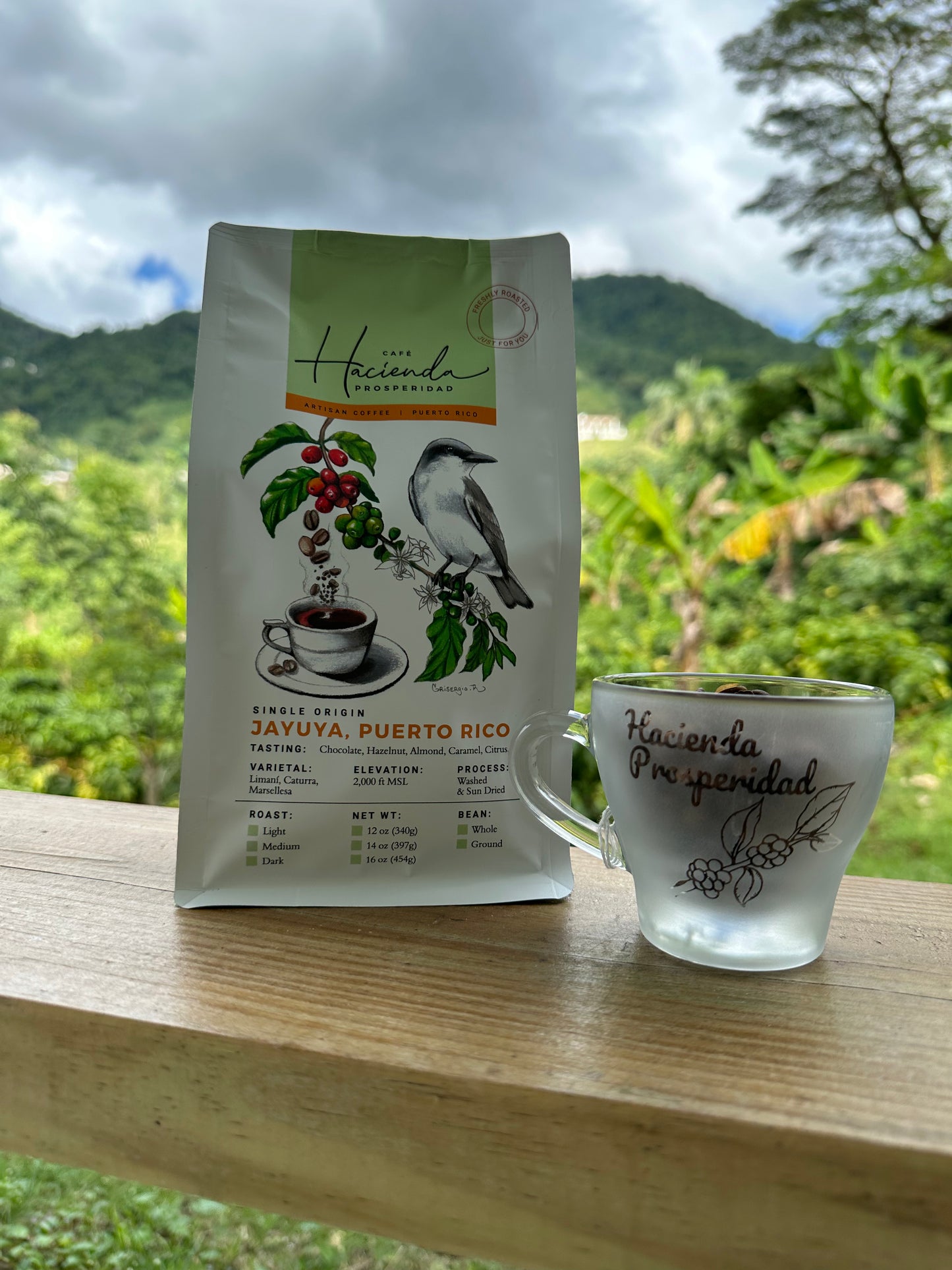 Roasted Coffee with 6oz. Cappuccino Mug Bundle