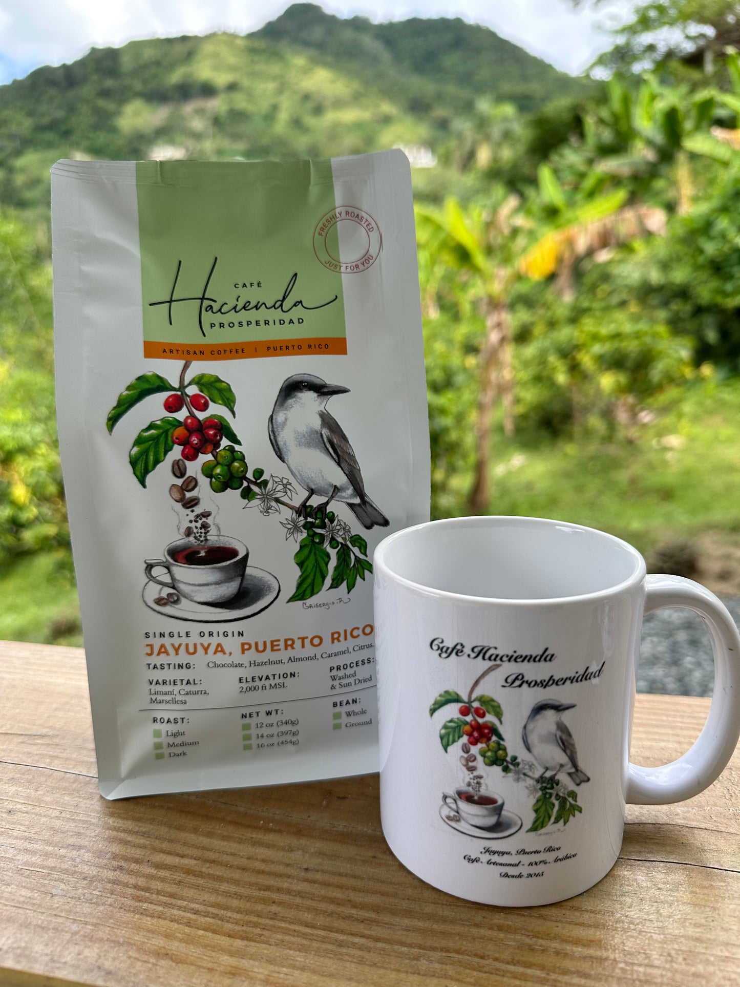 Roasted Coffee with 11 oz. Color Coffee Mug Bundle