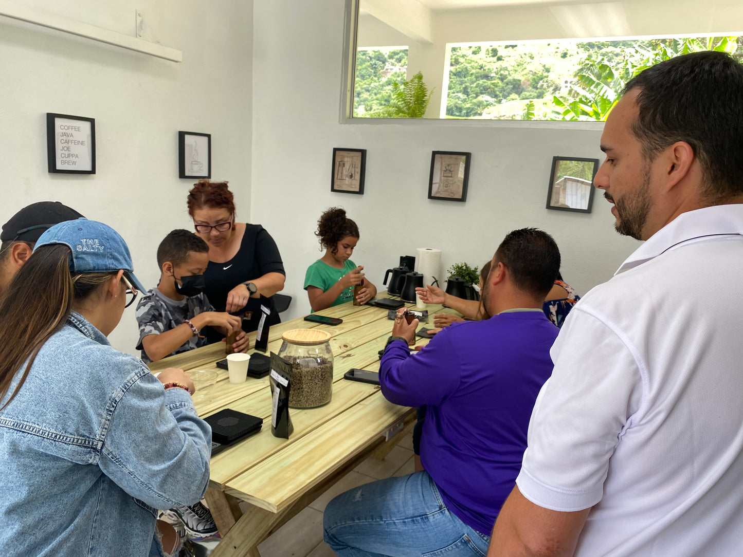 Coffee Tour and Workshop - From Seed to Cup - The Experience