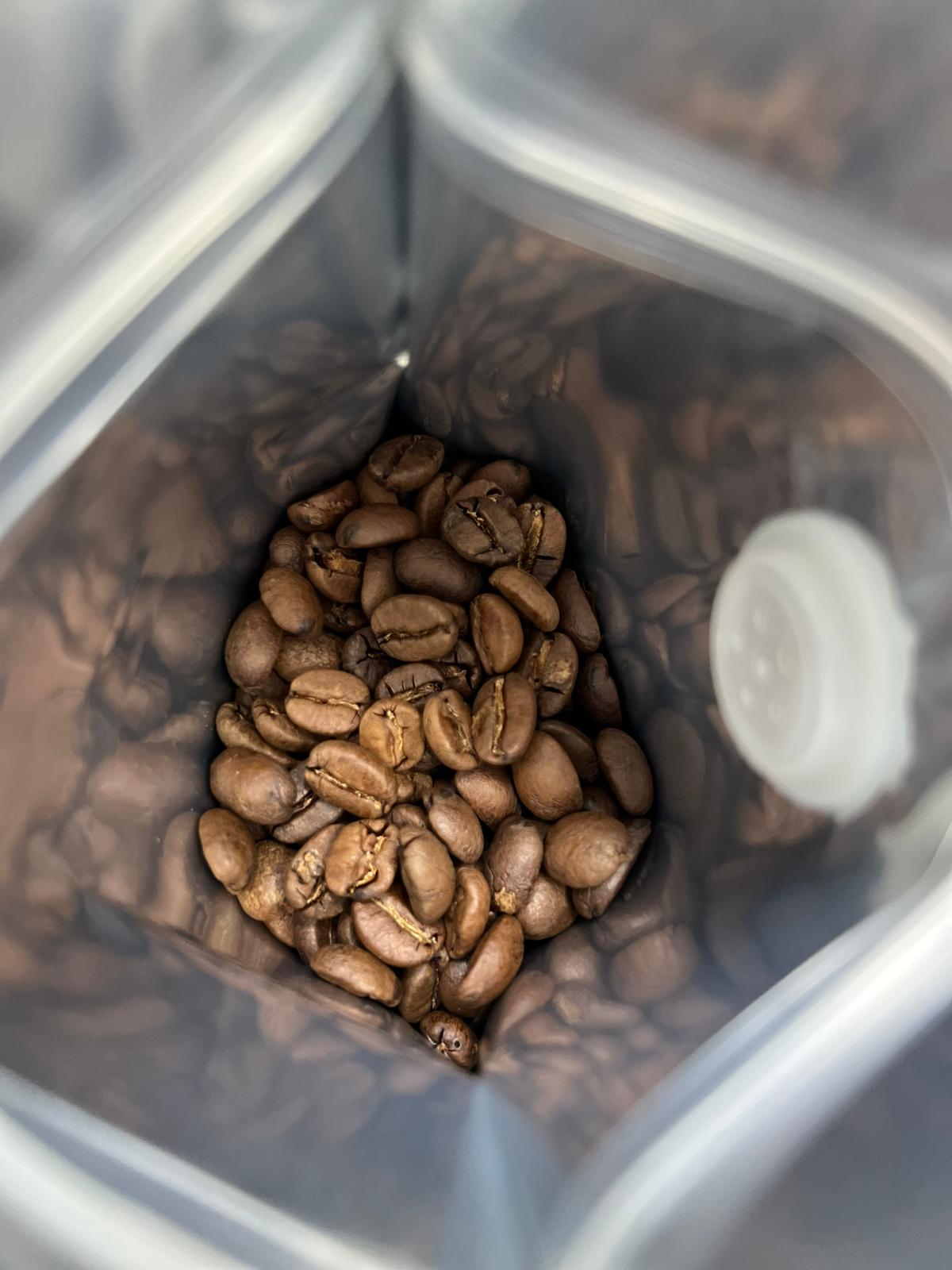 Coffee Tour and Workshop - From Seed to Cup - The Experience