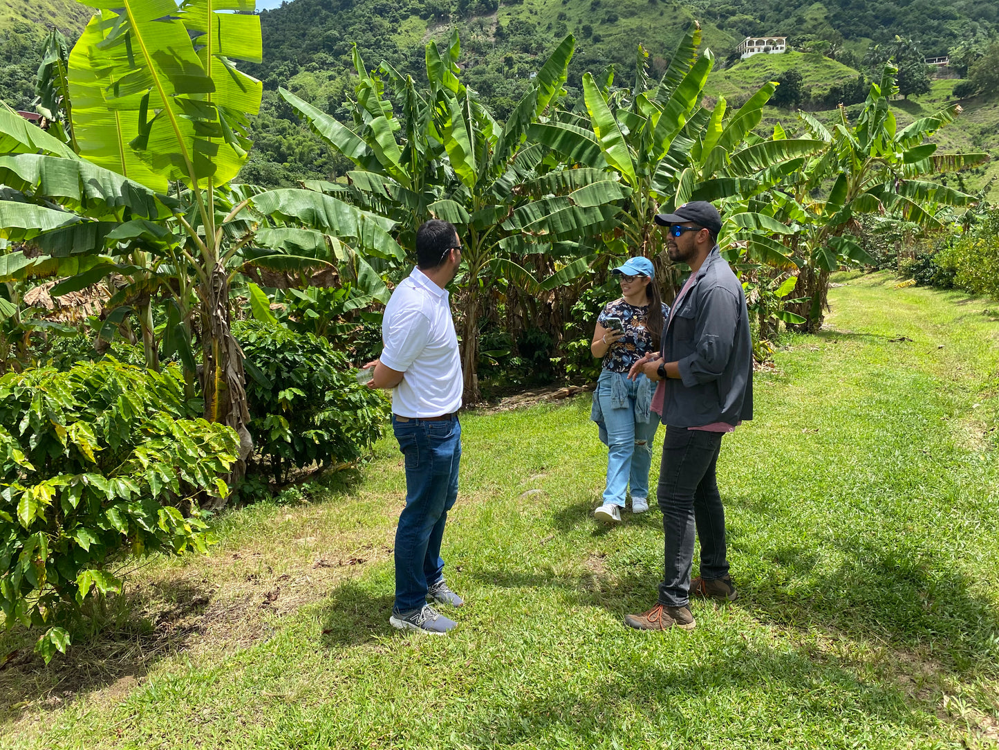 Coffee Tour and Workshop - From Seed to Cup - The Experience