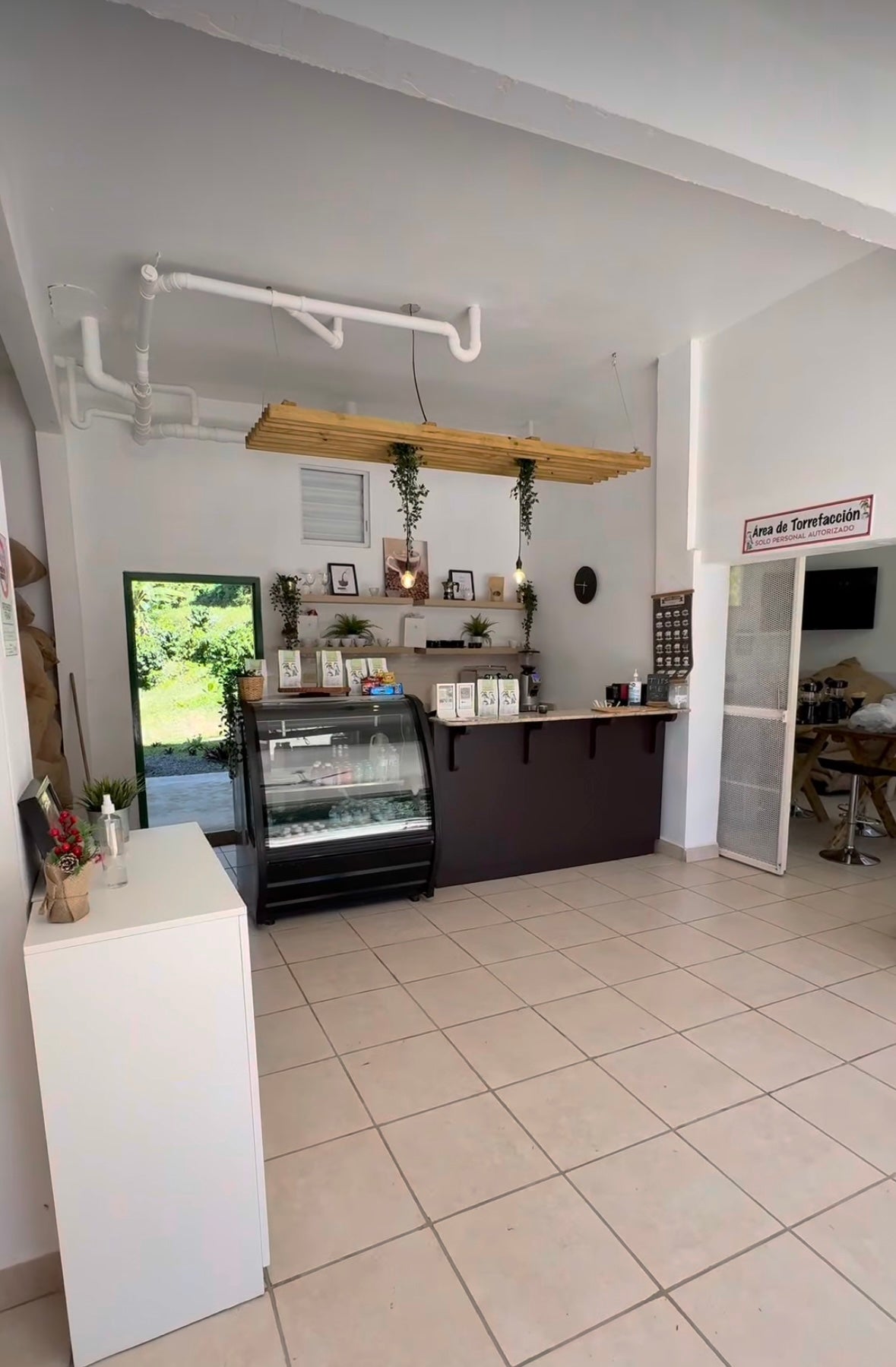 Coffee Tour and Workshop - From Seed to Cup - The Experience