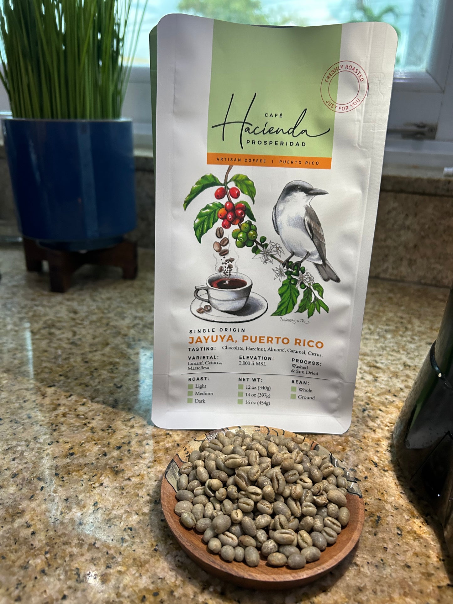 Peaberry (Caracolillo) Un-Roasted Green Coffee - 1 lb.