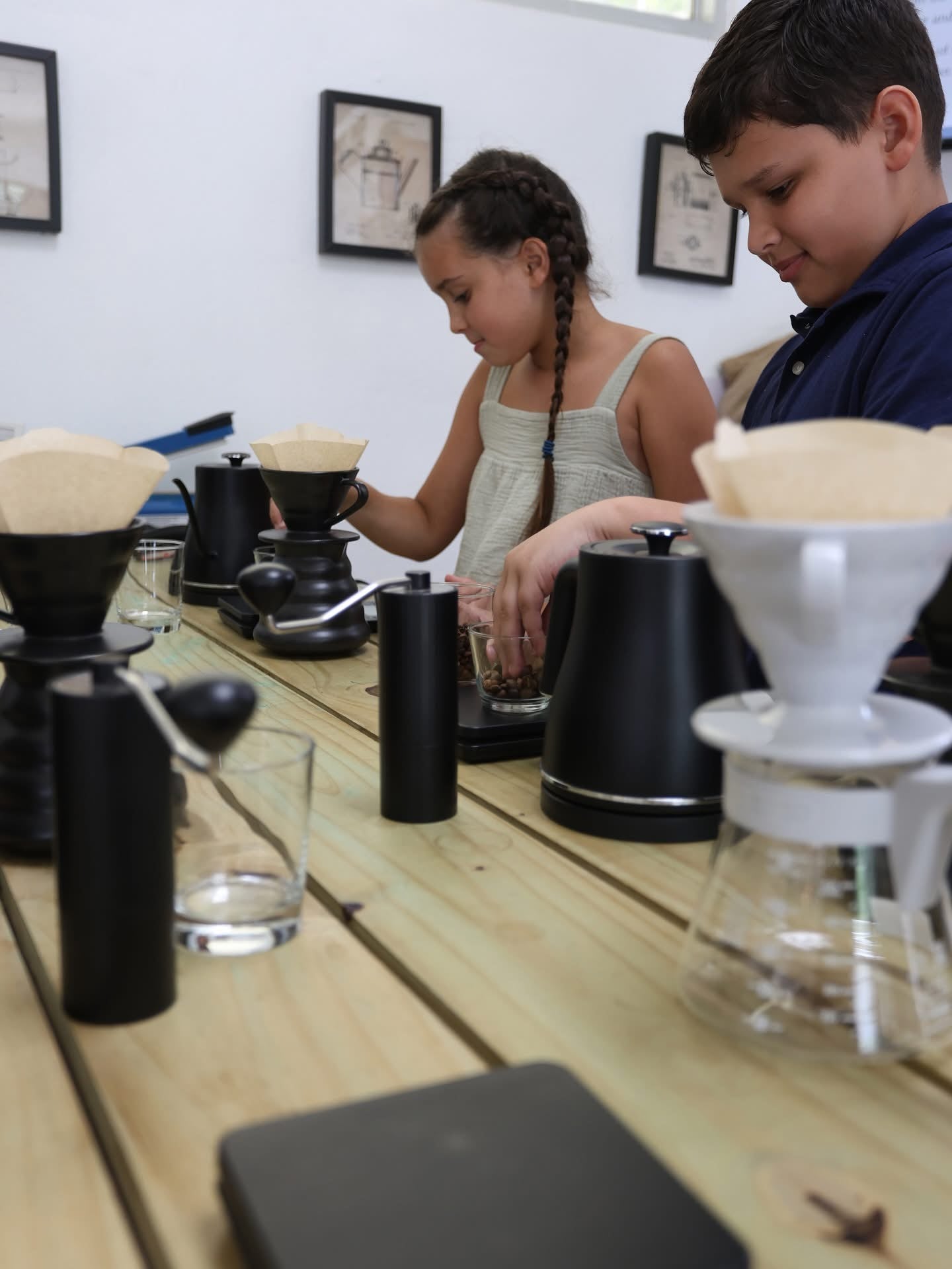 Coffee Tour and Workshop - From Seed to Cup - The Experience