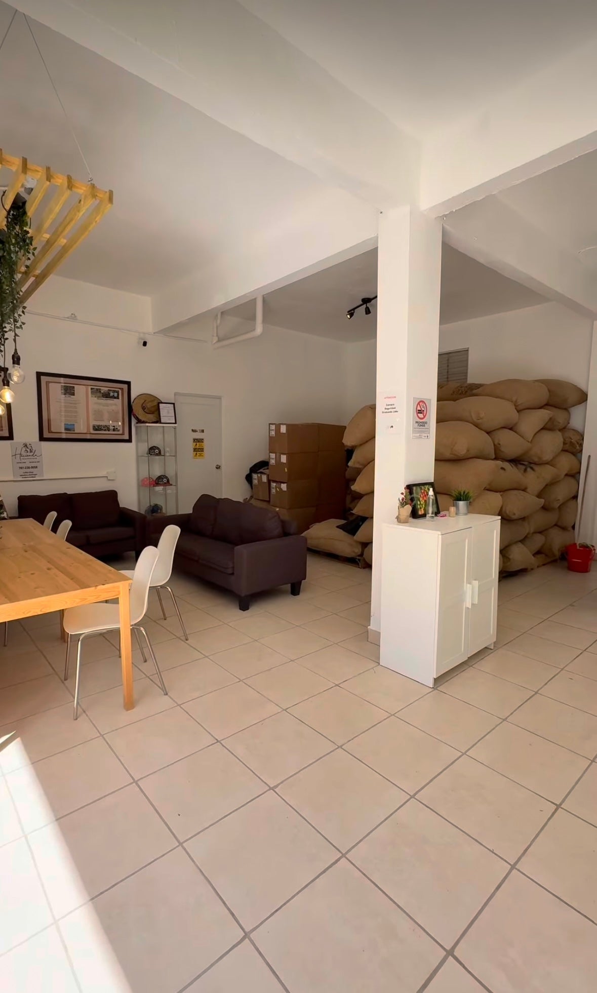 Coffee Tour and Workshop - From Seed to Cup - The Experience