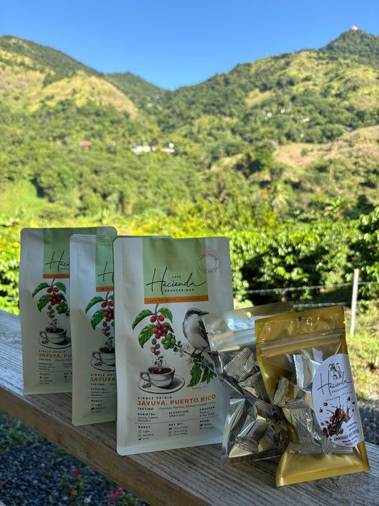 12oz Bundle - Three Roasts