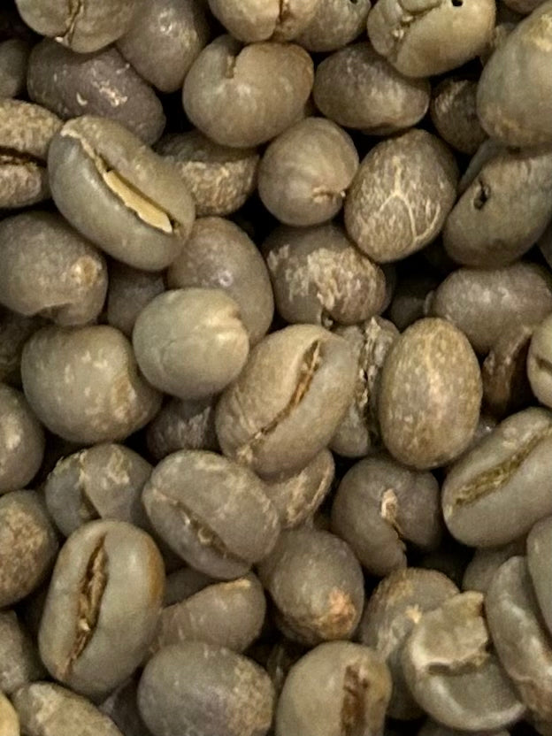 Peaberry (Caracolillo) Un-Roasted Green Coffee - 1 lb.