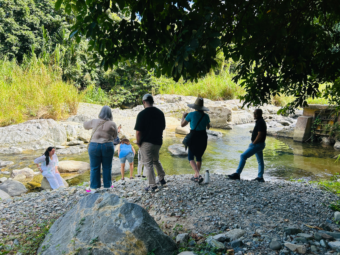 Coffee Tour and Workshop - From Seed to Cup - The Experience