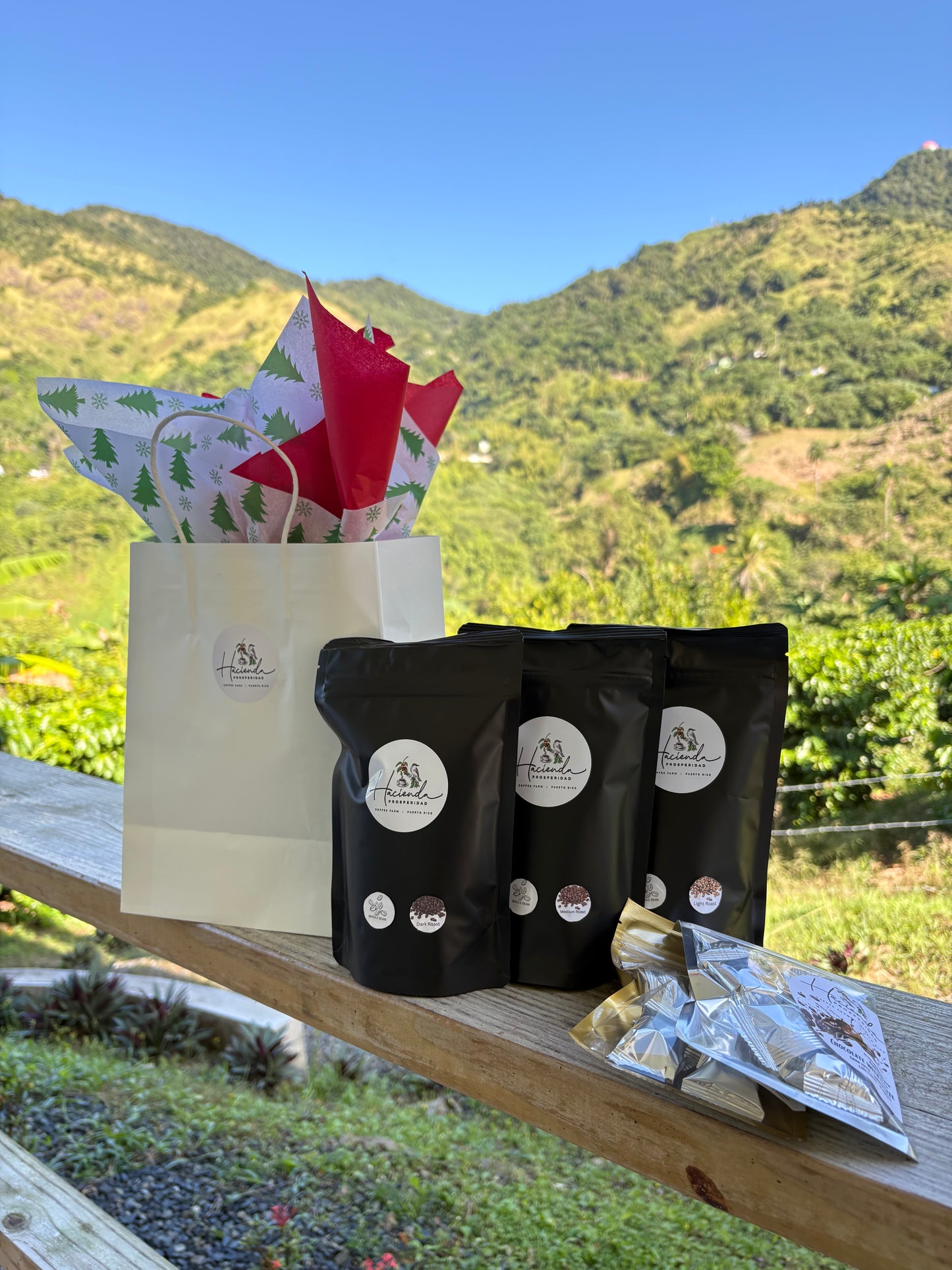 🎄 Christmas 4oz Bundle - Three Roasts