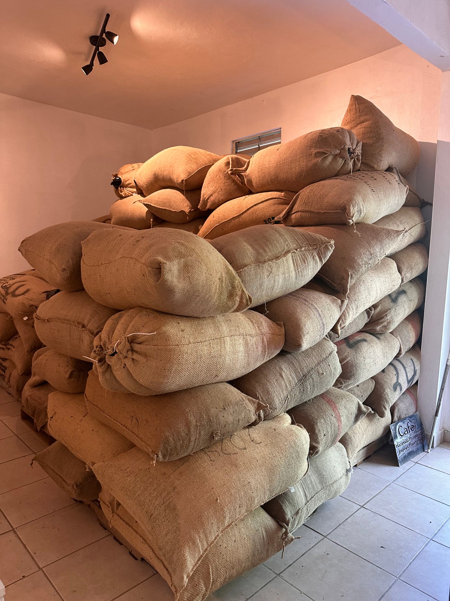 Coffee Tour and Workshop - From Seed to Cup - The Experience