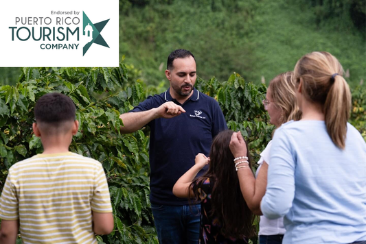 Coffee Tour and Workshop: "From Seed to Cup" The Experience- Certified Agrotourism Experience