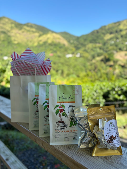 🎄 Christmas 12oz Bundle - Three Roasts