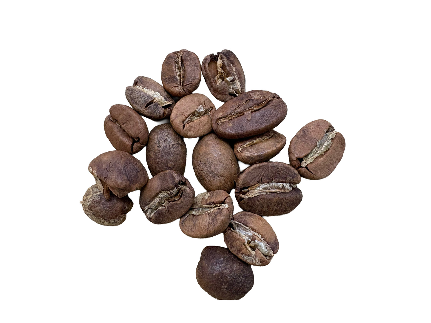 🎄 Christmas 4oz Bundle - Three Roasts