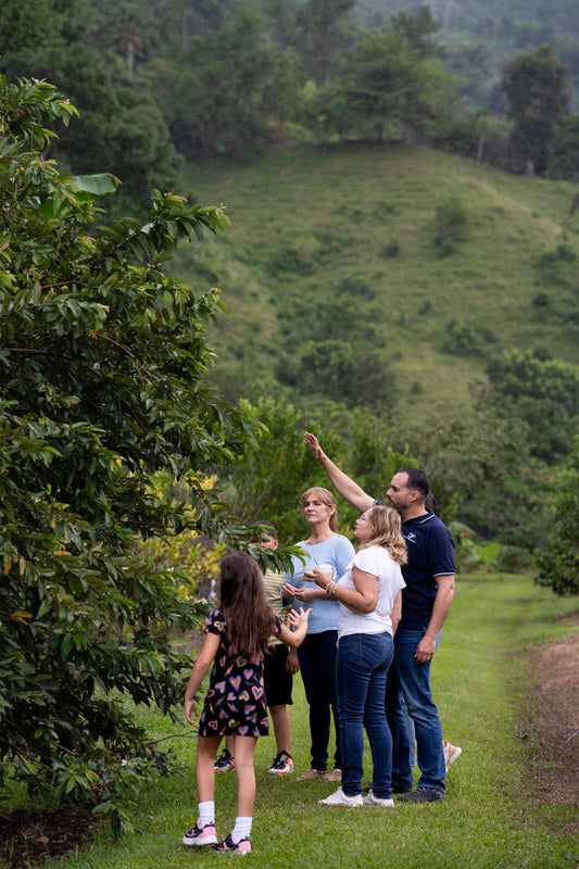 Coffee Tour and Workshop - From Seed to Cup - The Experience